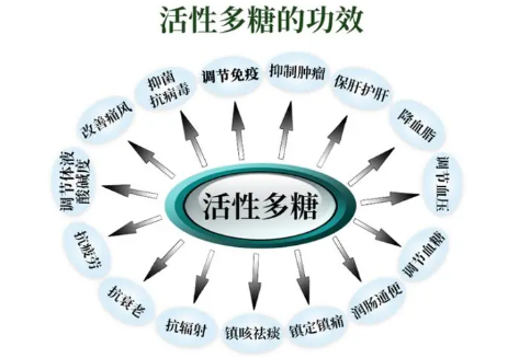 复合活性多糖对身体有哪些作用?复合活性多糖品牌排名