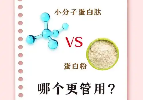 活性肽与蛋白粉的区别，小分子肽品牌排名