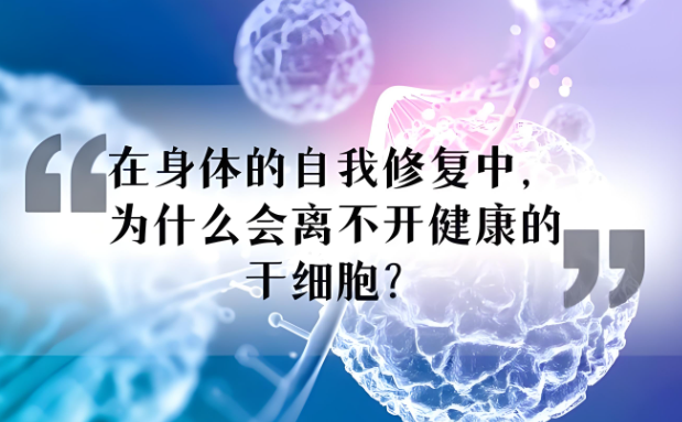干细胞与脏细胞的功能.png