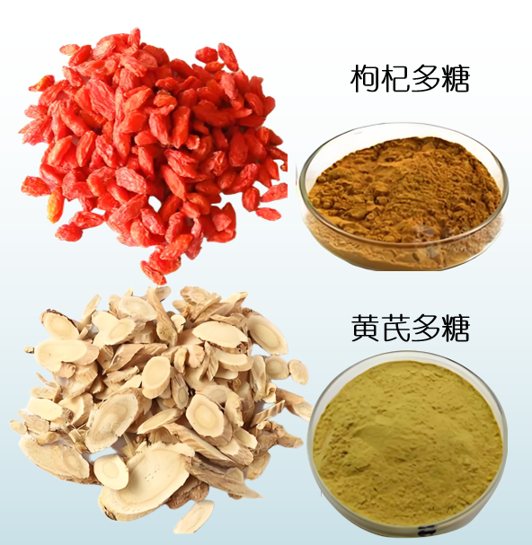 枸杞多糖和黄芪多糖.png