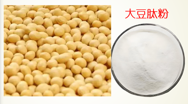 大豆肽粉.png