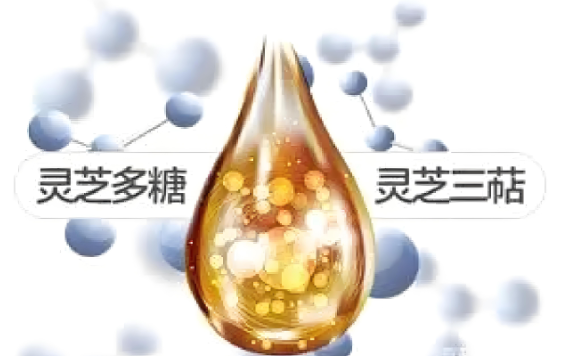 灵芝多糖压片糖果.png
