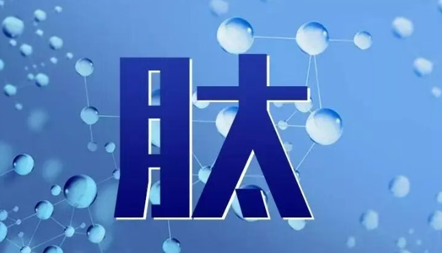 小分子肽的功效与作用.png