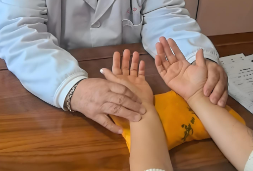 全息归脏脉诊培训.png