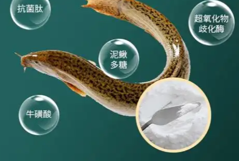 泥鳅肽.png 泥鳅肽.png