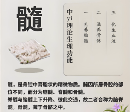骨髓与骨关节疾病.png