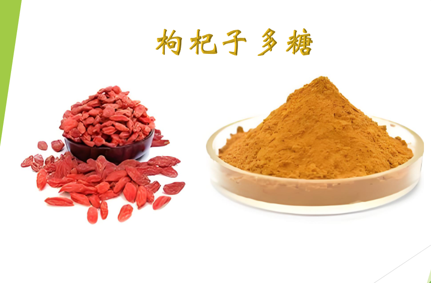 枸杞子多糖.png 枸杞子多糖.png