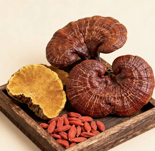 灵芝桑黄枸杞片.jpg 灵芝桑黄枸杞片.jpg