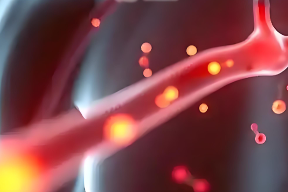 降血脂作用.png 降血脂作用.png