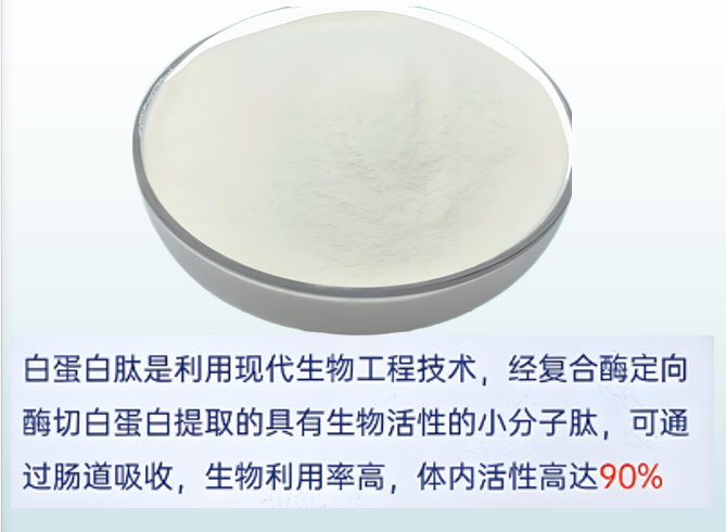 白蛋白肽.png