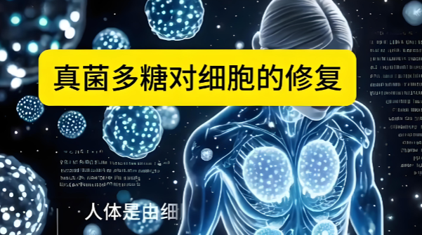 真菌多糖对细胞的修复作用.png
