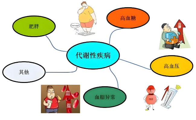 代谢系统综合征.png