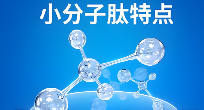 小分子肽的品牌.png