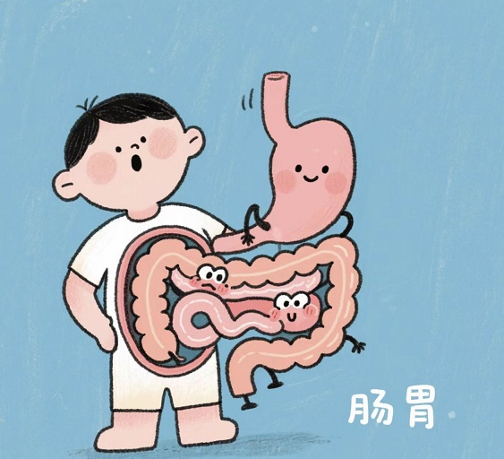 肠胃.jpg 肠胃.jpg