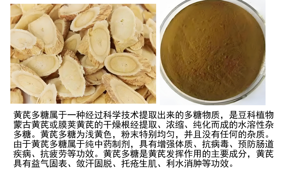 黄芪多糖1.png 黄芪多糖1.png