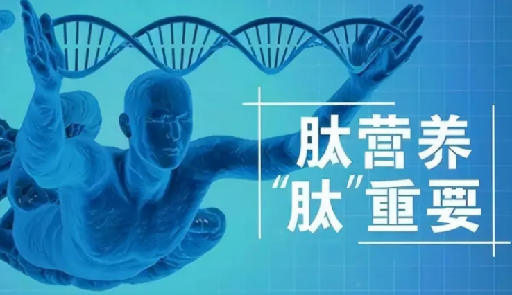 活性肽品牌排名.png