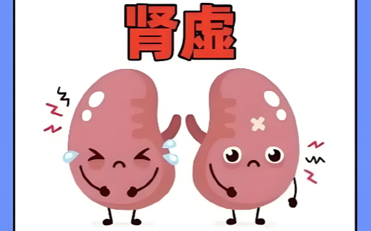 肾虚怎么治疗.png 肾虚怎么治疗.png