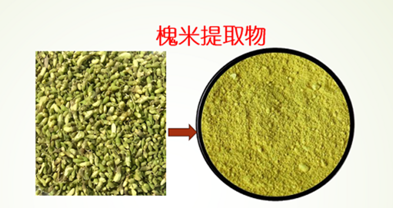 槐米槲皮素.png 槐米槲皮素.png