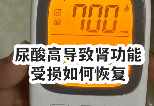降尿酸改善肾气.png