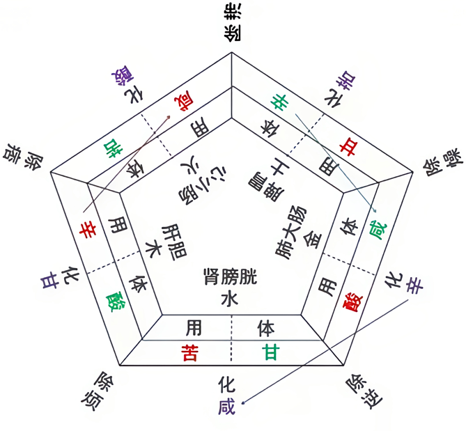 体用化.png